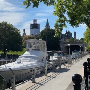 Meet your Posher, Charlotte